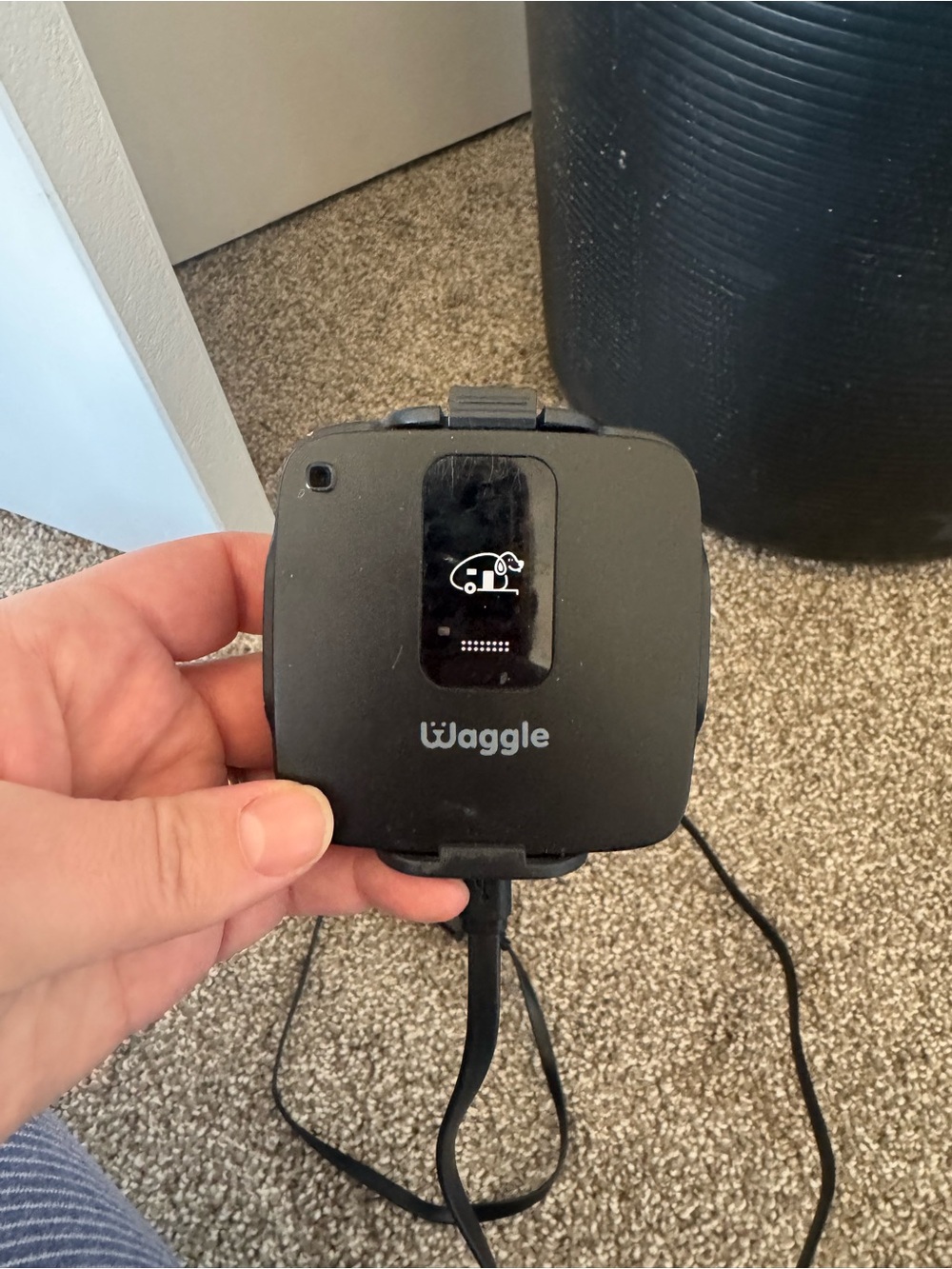 Waggle Black Pet Activity Monitor